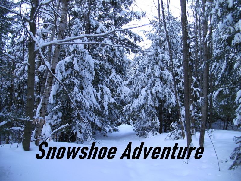 Snowshoe Adventure