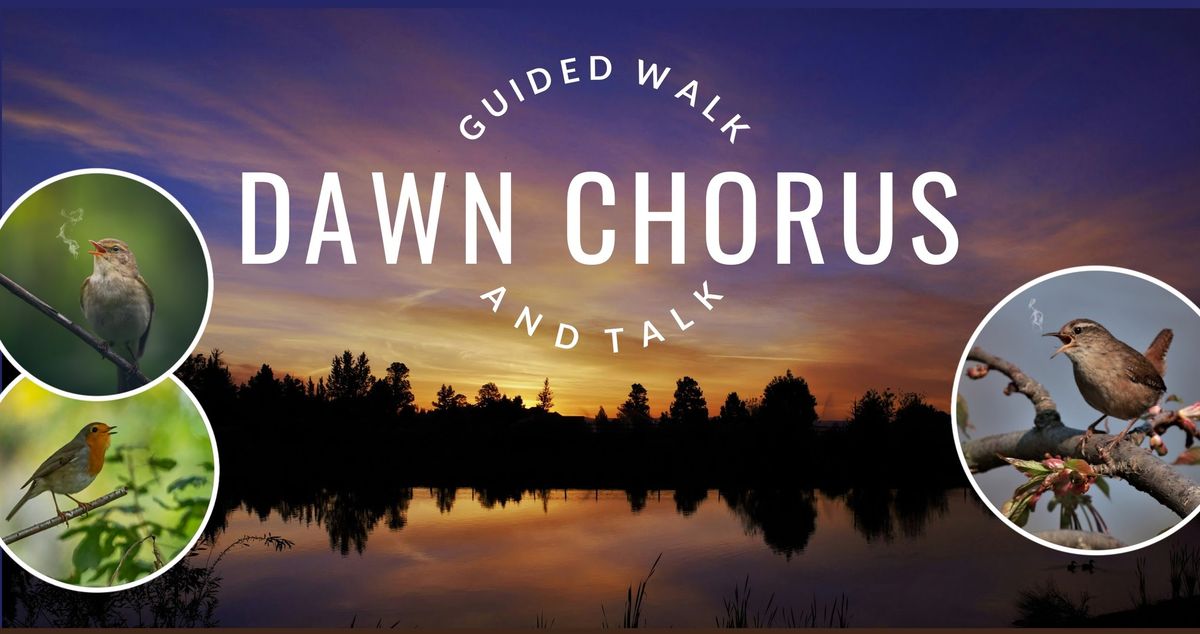 Dawn Chorus Walk & Talk