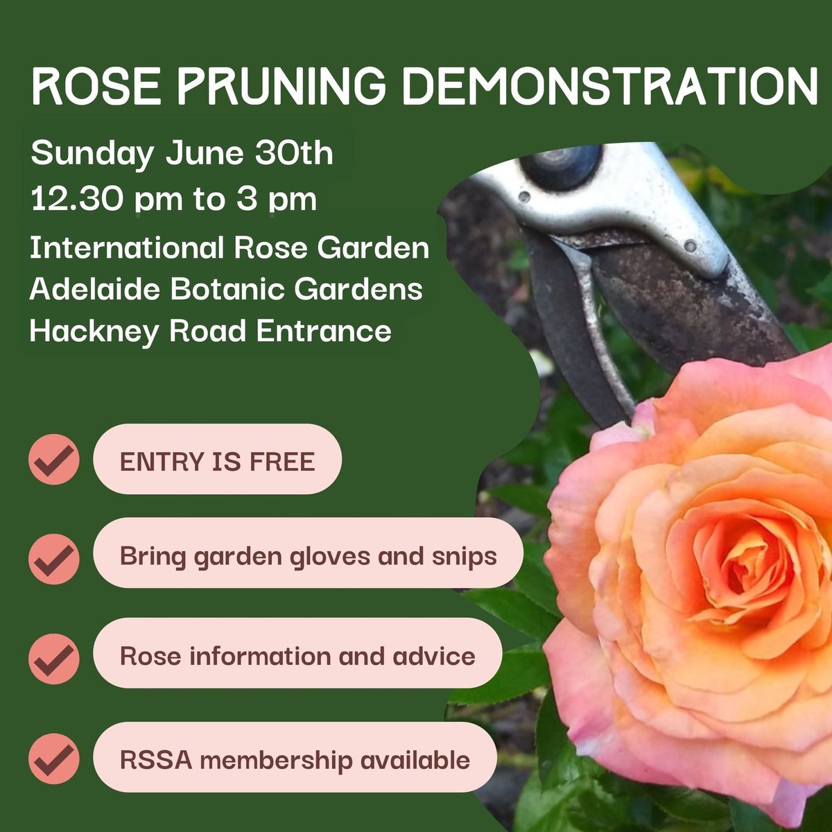 FREE Rose pruning Demonstration and Workshop