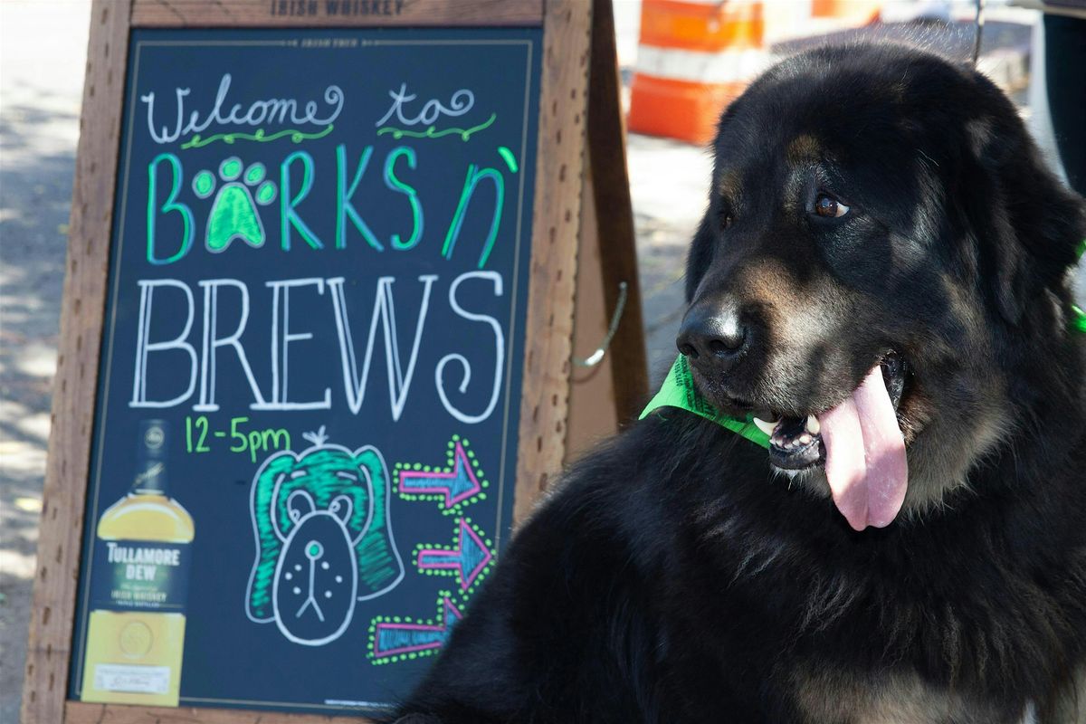 Copy of Barks and Brews Downtown Flagstaff