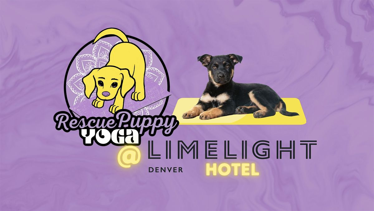 Rescue Puppy Yoga - Limelight Hotel Denver