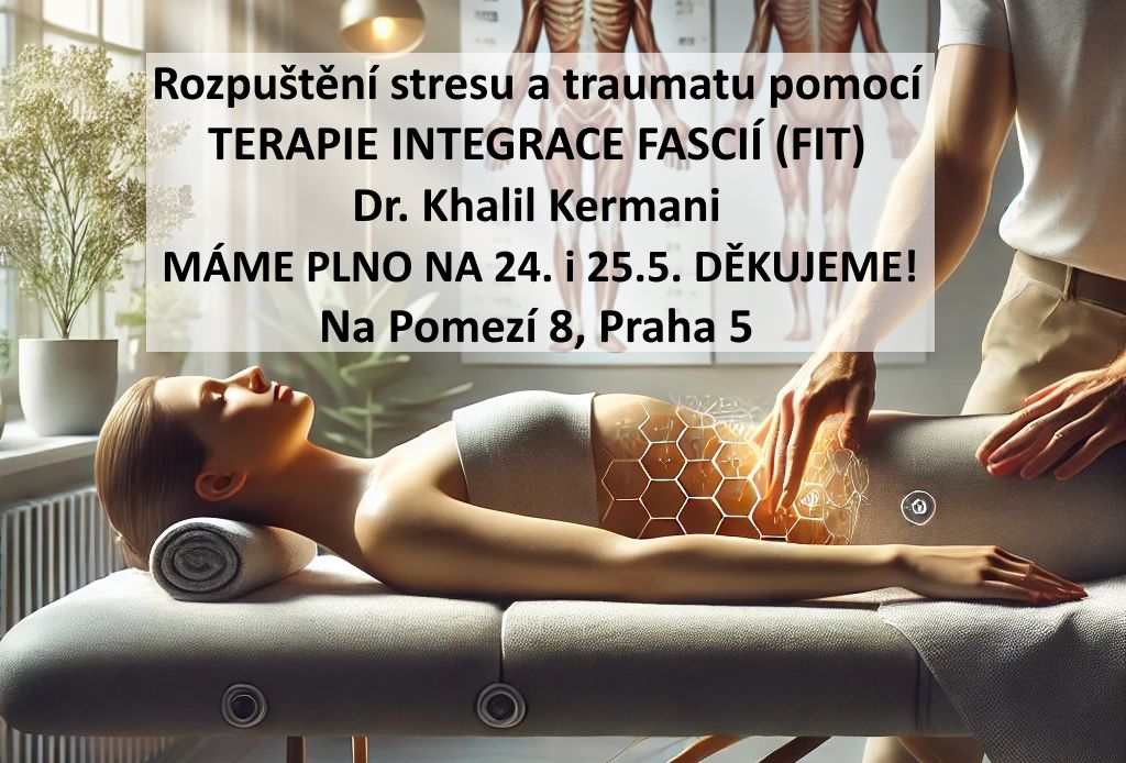 Rozpu\u0161t\u011bn\u00ed stresu a traumatu pomoc\u00ed TERAPIE INTEGRACE FASCI\u00cd (FIT)