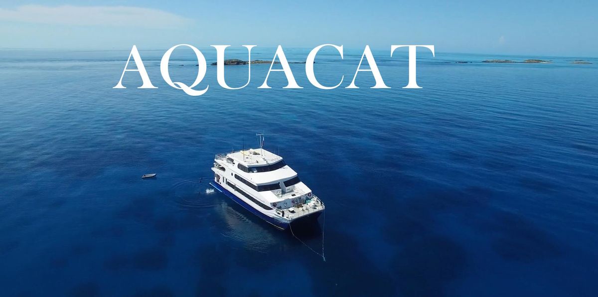 Aquacat Bahamas June 2024 CBDC Chesapeake Bay Diving