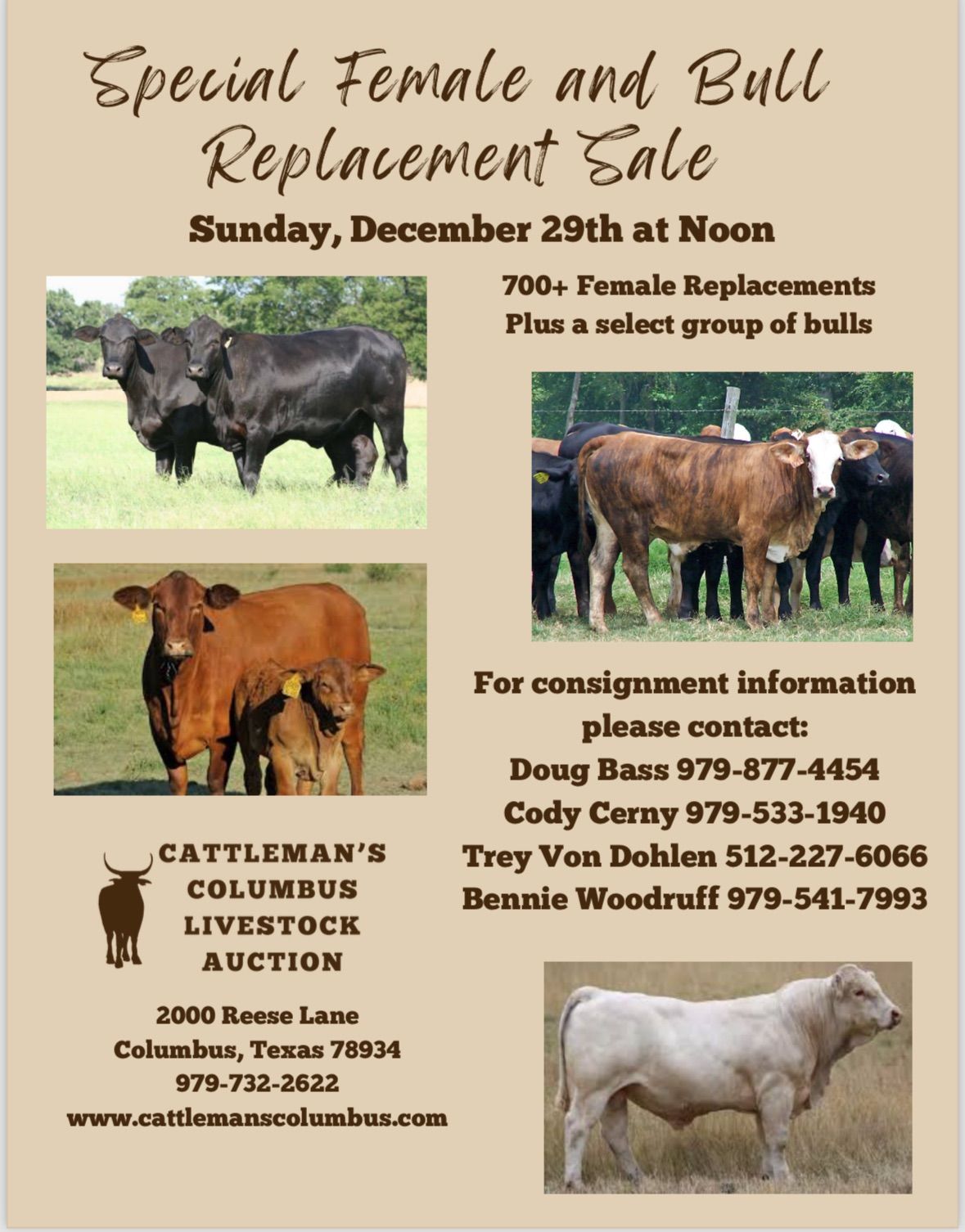 Special Female and Bull Replacement Sale