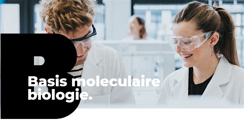 Basis moleculaire biologie VJ 2025