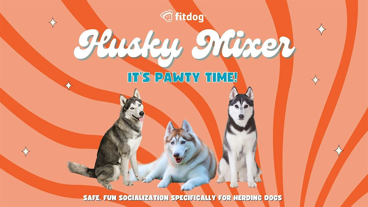 Husky Dog Mixer