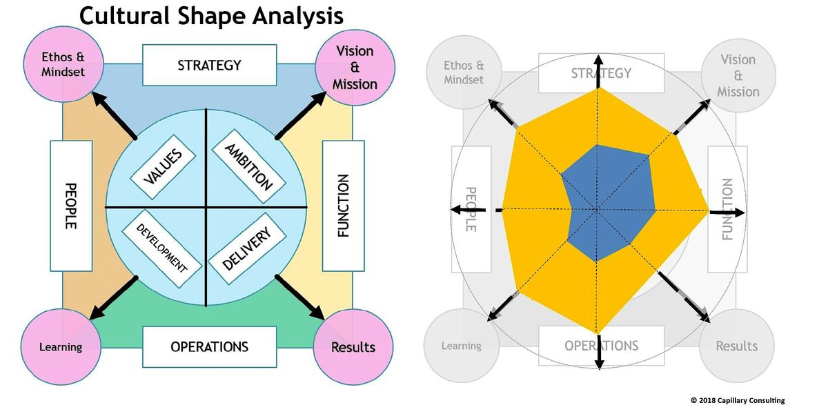 Cultural Shape Analysis Deeper Dive