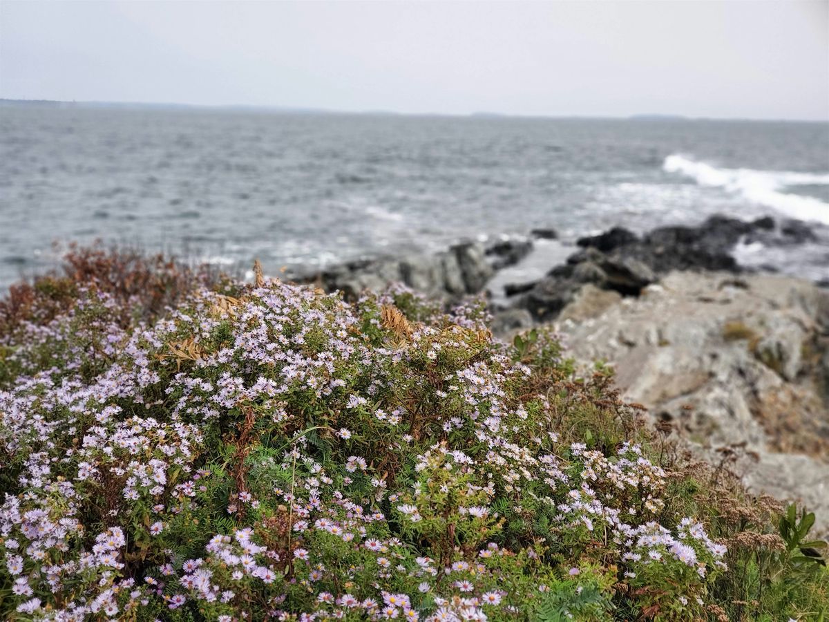 Nature Writing Through the Seasons