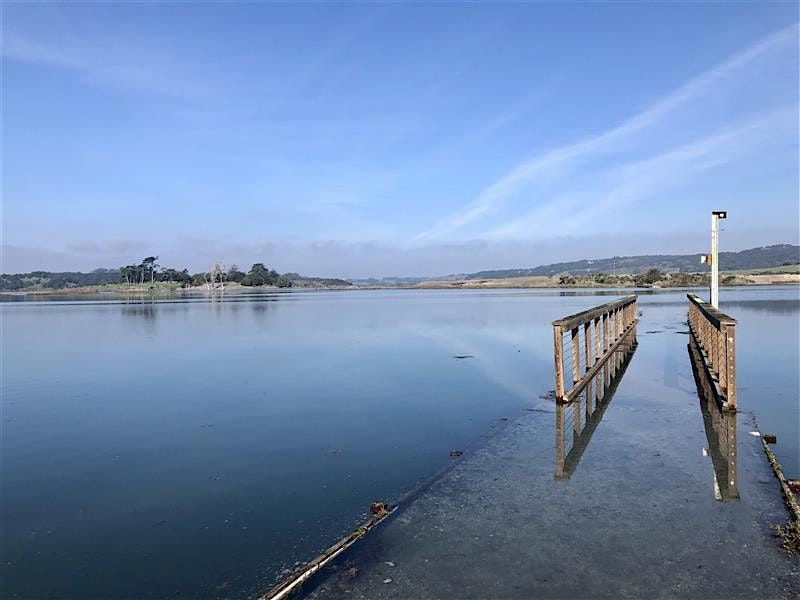 King Tide Hike at Elkhorn Slough Reserve