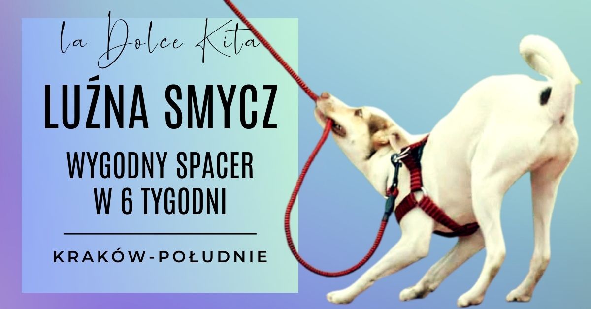 Lu\u017ana smycz - skuteczny kurs wygodnego spacerowania z psem