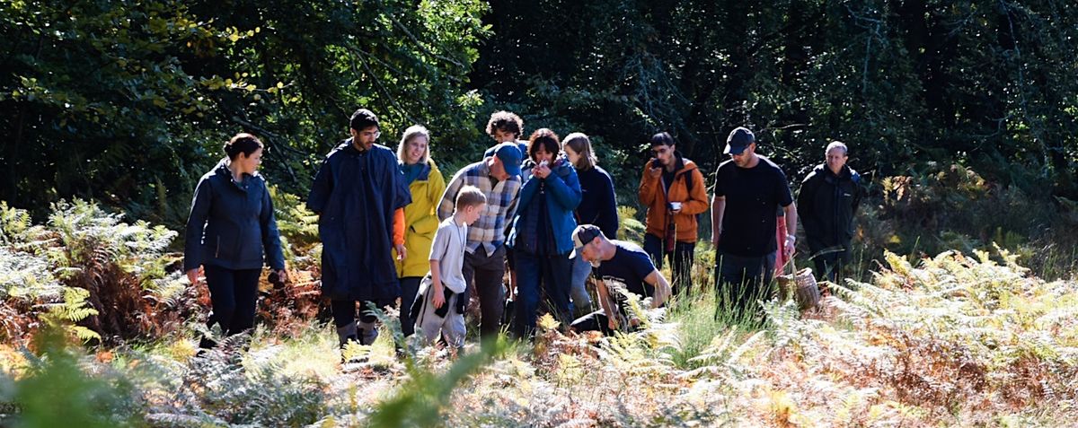 Wild Food Foraging Walk: SE5: December 12th