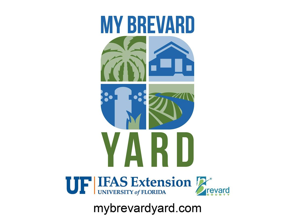 My Brevard Yard Site Visits  April - June 2024