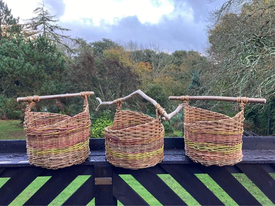 Willow basket making Workshop