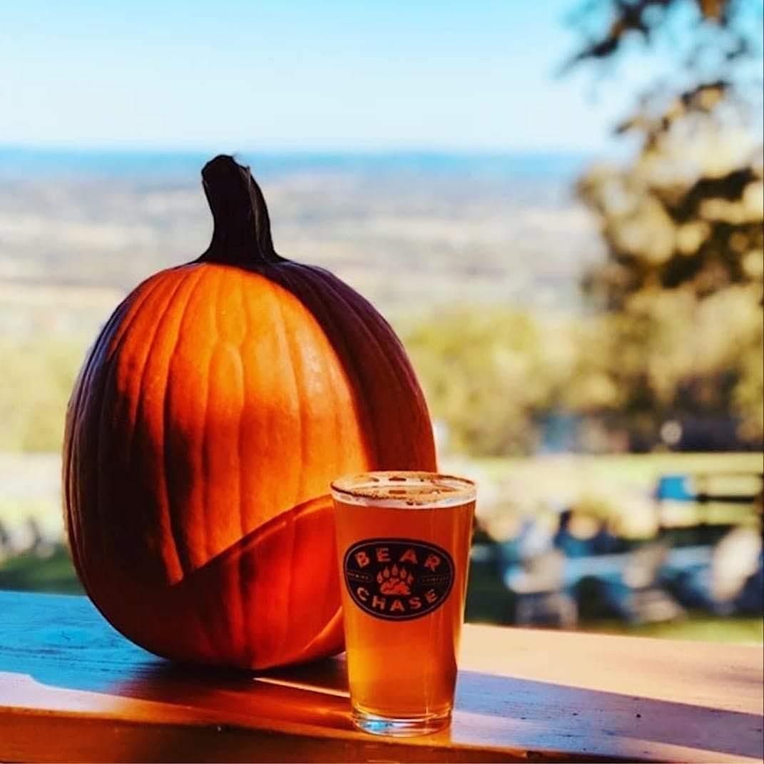 Fall Pumpkin Carving at Bear Chase Brewery