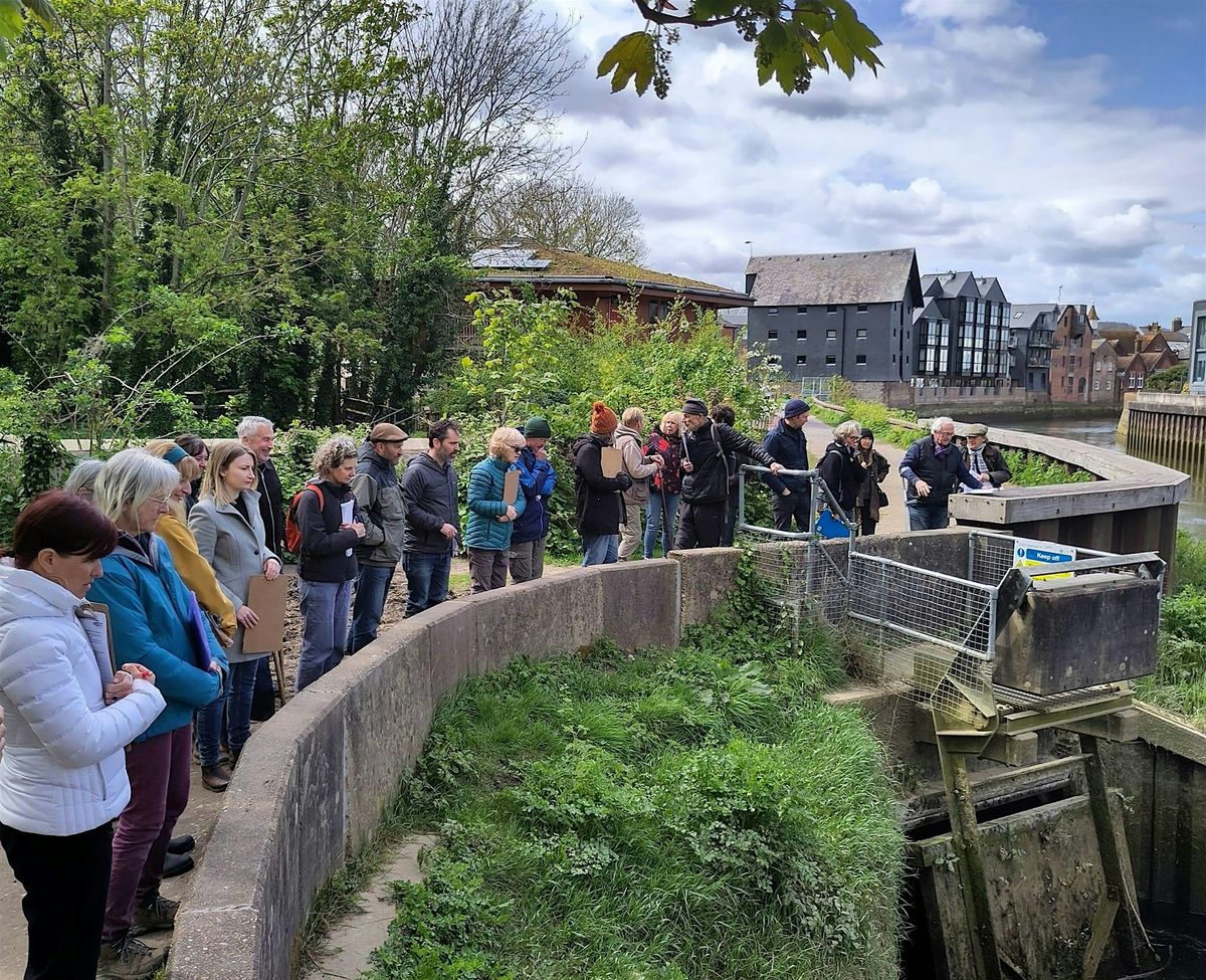 River Ecology 101 Training