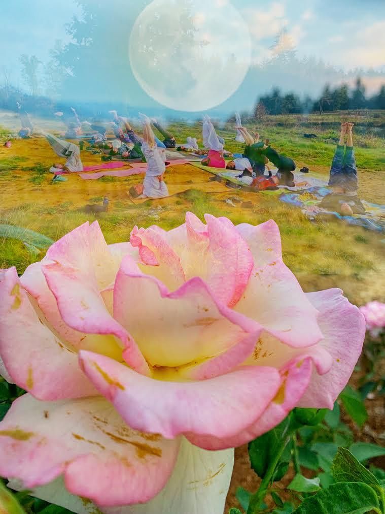 Examples of hybrid literature picture