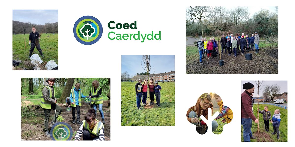 Tree planting - Cathedral View, Llandaff North