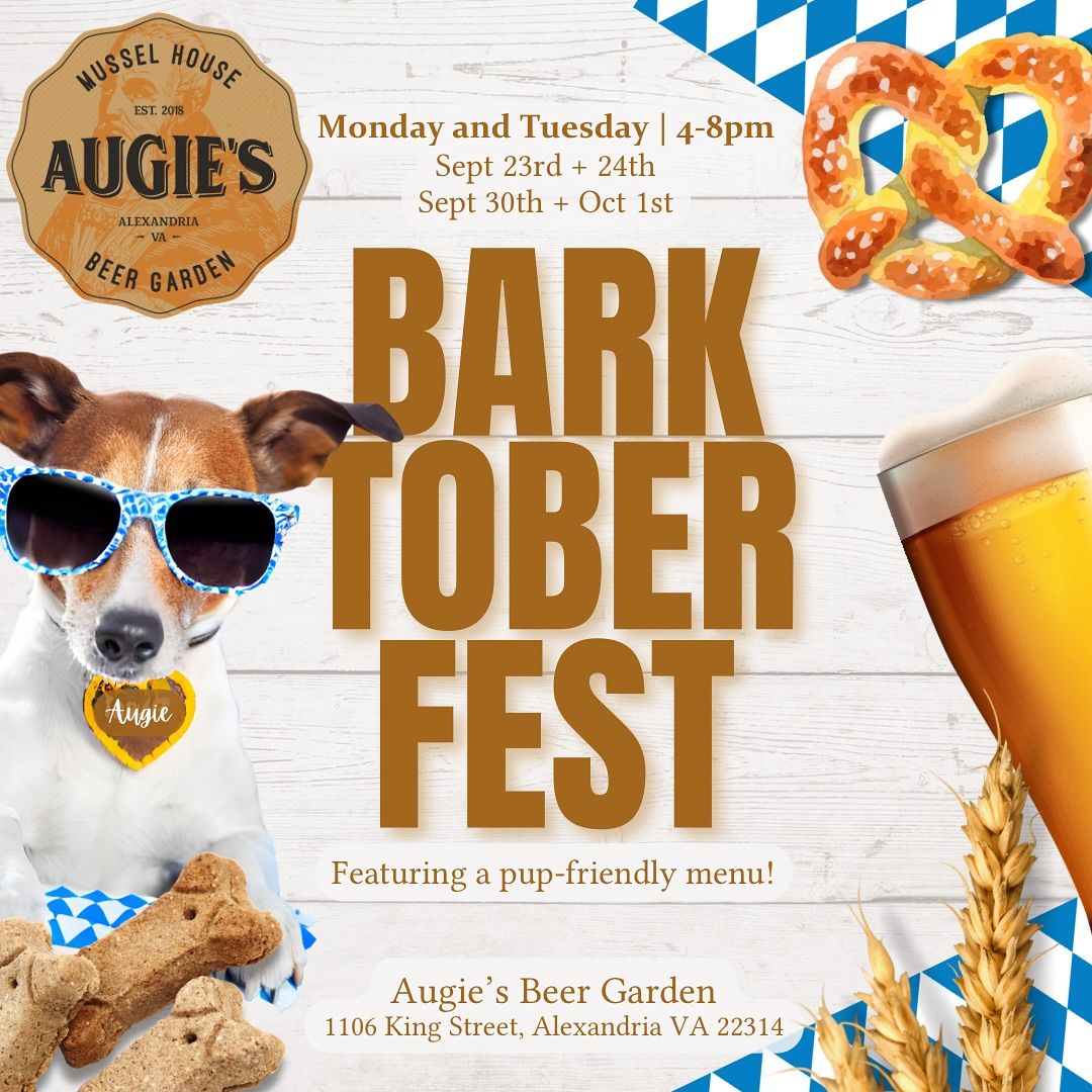 Augie\u2019s Barktoberfest! \ud83d\udc15\ud83c\udf7b\ud83d\udc29\ud83e\uddb4\ud83e\uddae\ud83c\udf2d