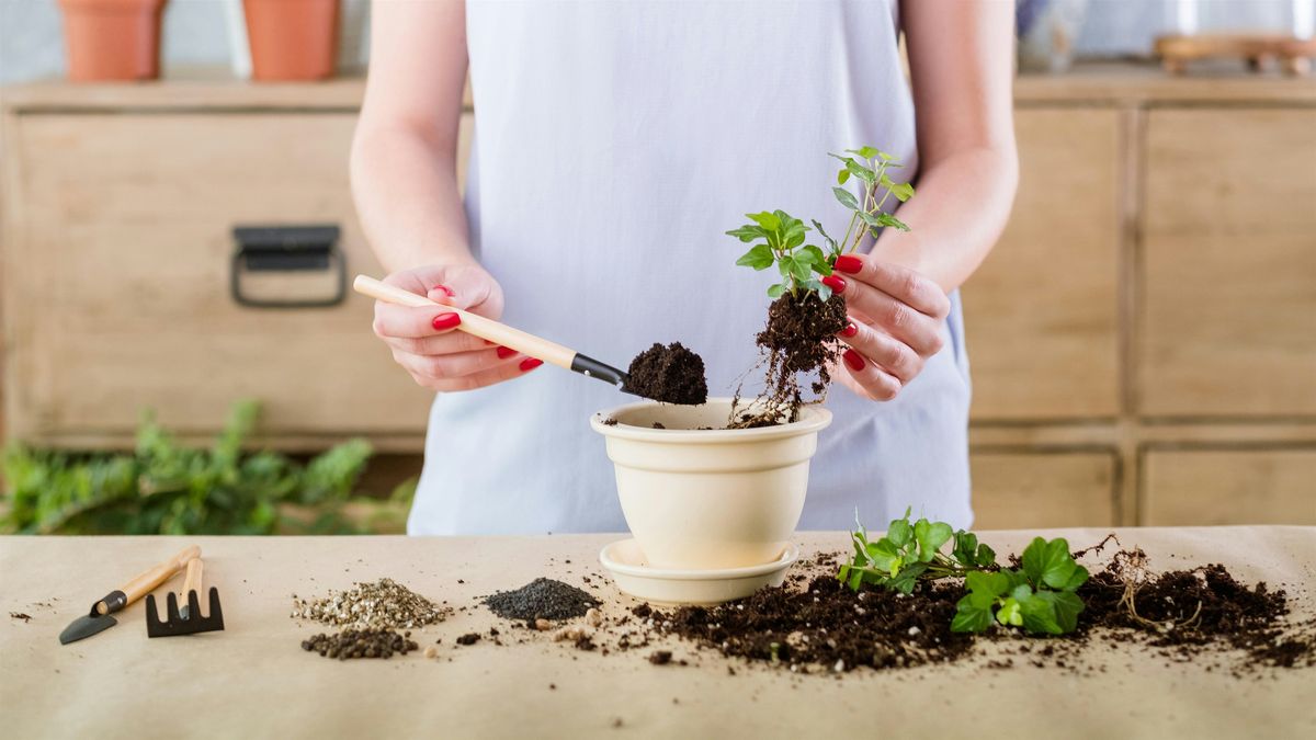 Urban Gardens - Recycled Kitchen Gardens