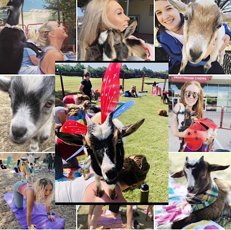 Goat Yoga McKinney @ The Stix!