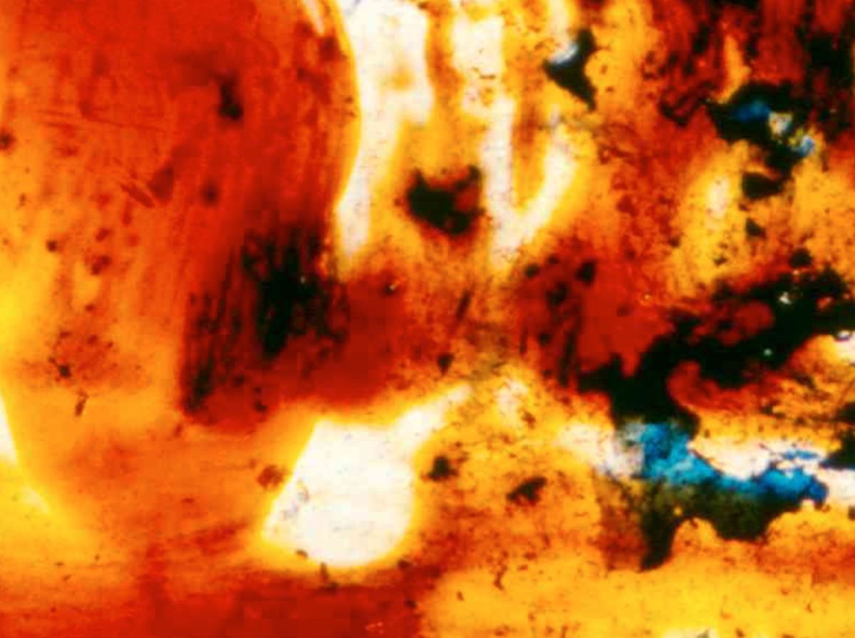 The Films of Stan Brakhage with live score by Cloudland Canyon