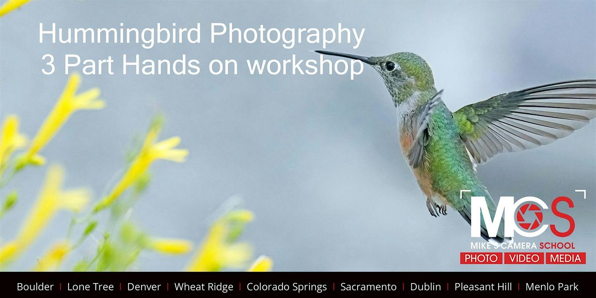 Hummingbird Photography  - 3 Part workshop