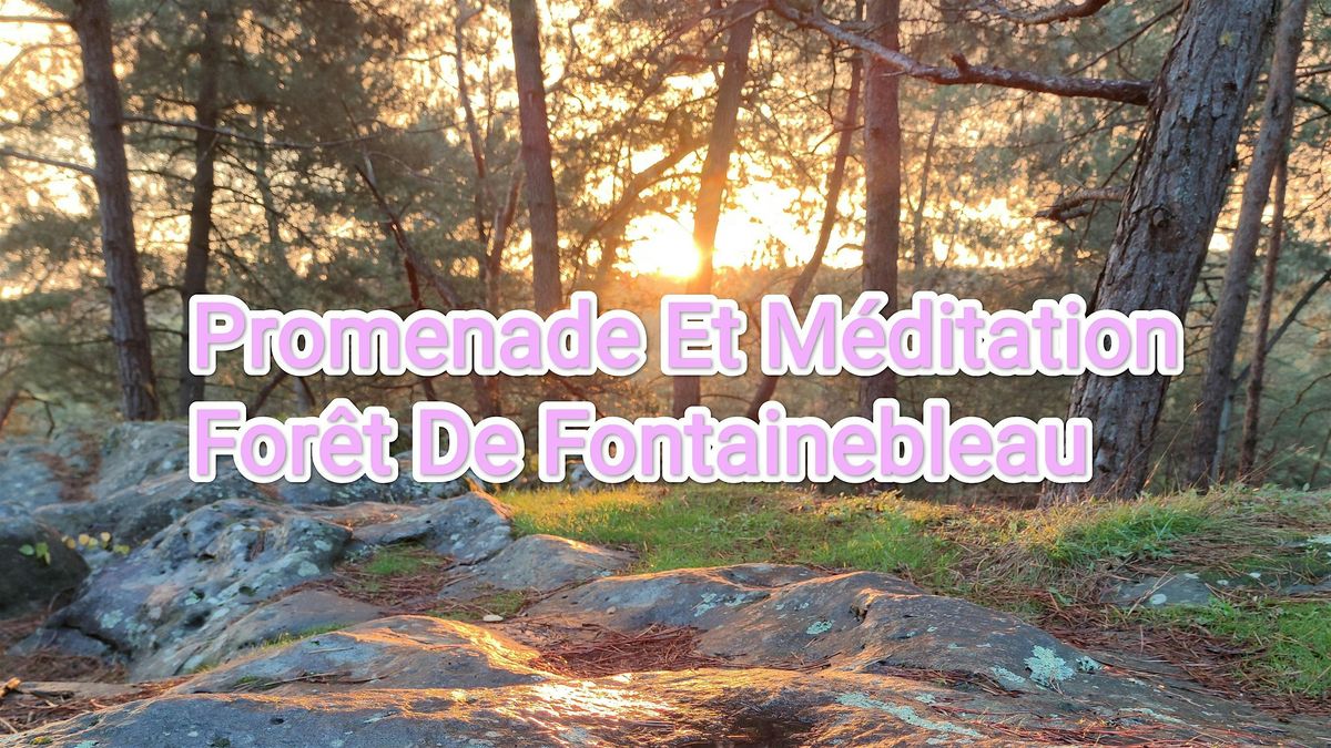 Fontainebleau initiation marche m\u00e9ditative, m\u00e9ditation en pleine conscience