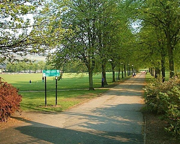 Hillsborough Park Tree Planting Workshop