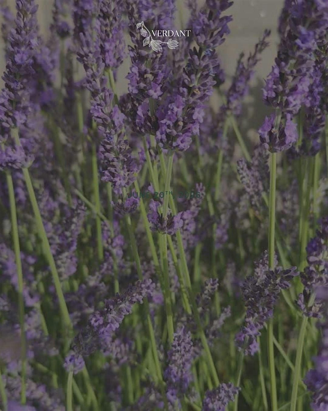 Litha: A Summer Solstice Retreat for Women