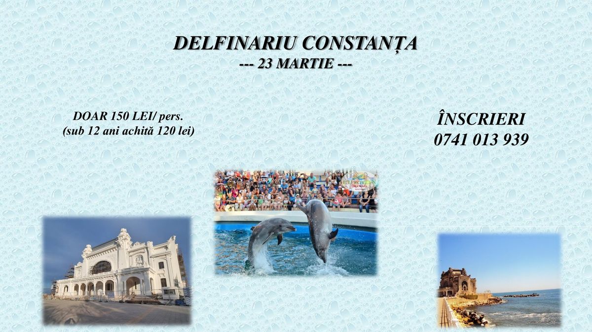 EXCURSIE 1 ZI DELFINARIU & CAZINO CONSTANTA