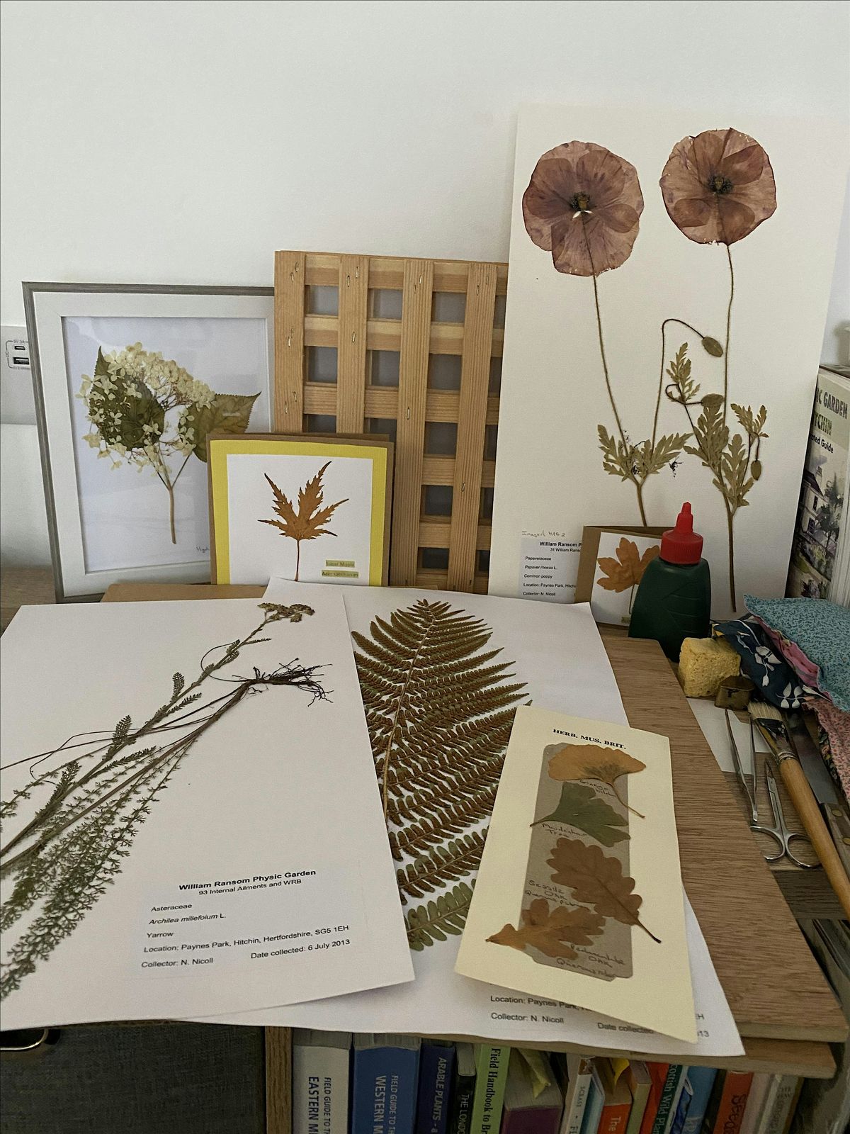 Press for Time (Plant mounting workshop)