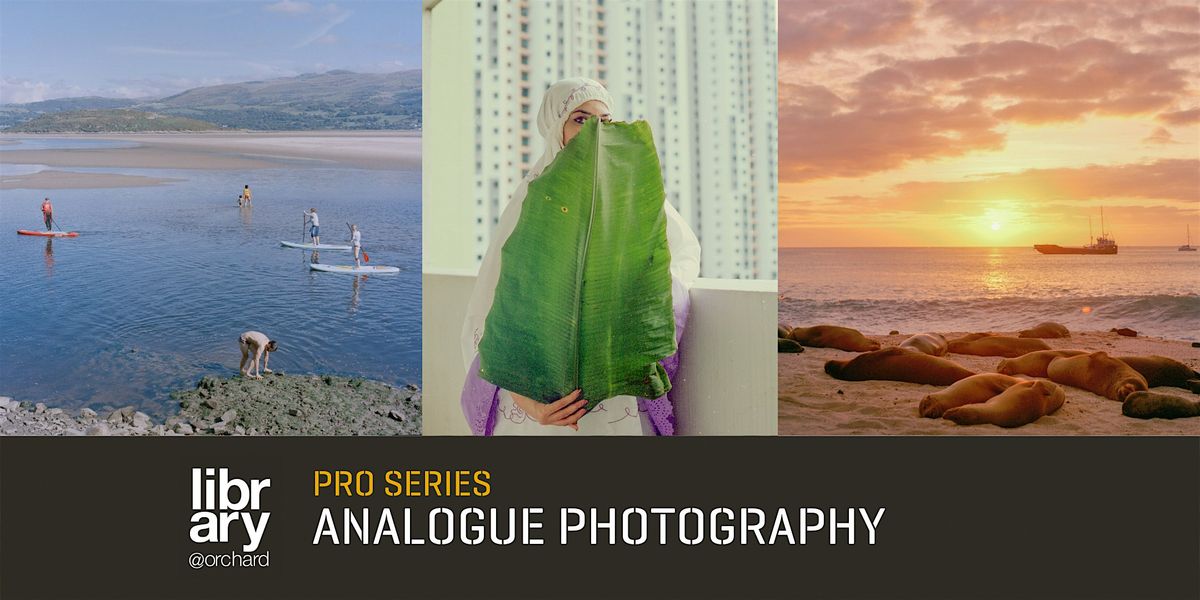 Pro Series: Framing Reality in Documentary Photography with Amrita C.