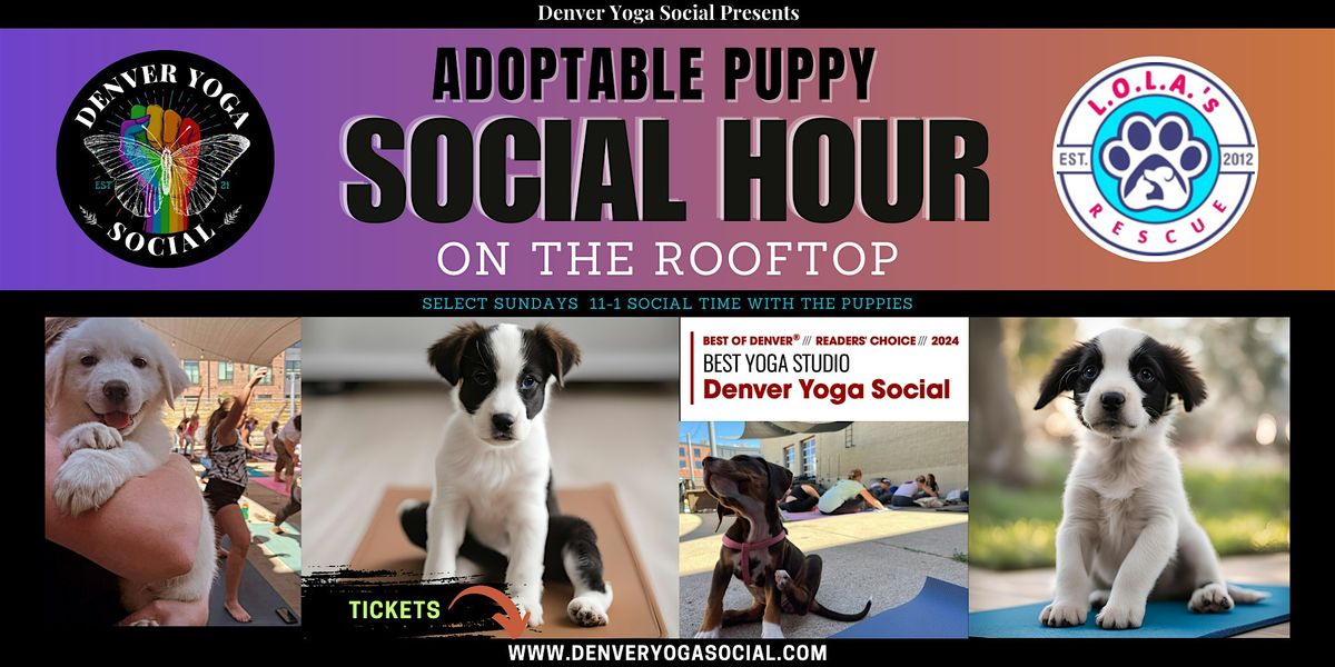 Adoptable Puppy Social Hour on the Rooftop of the Catbird Hotel (NO YOGA)