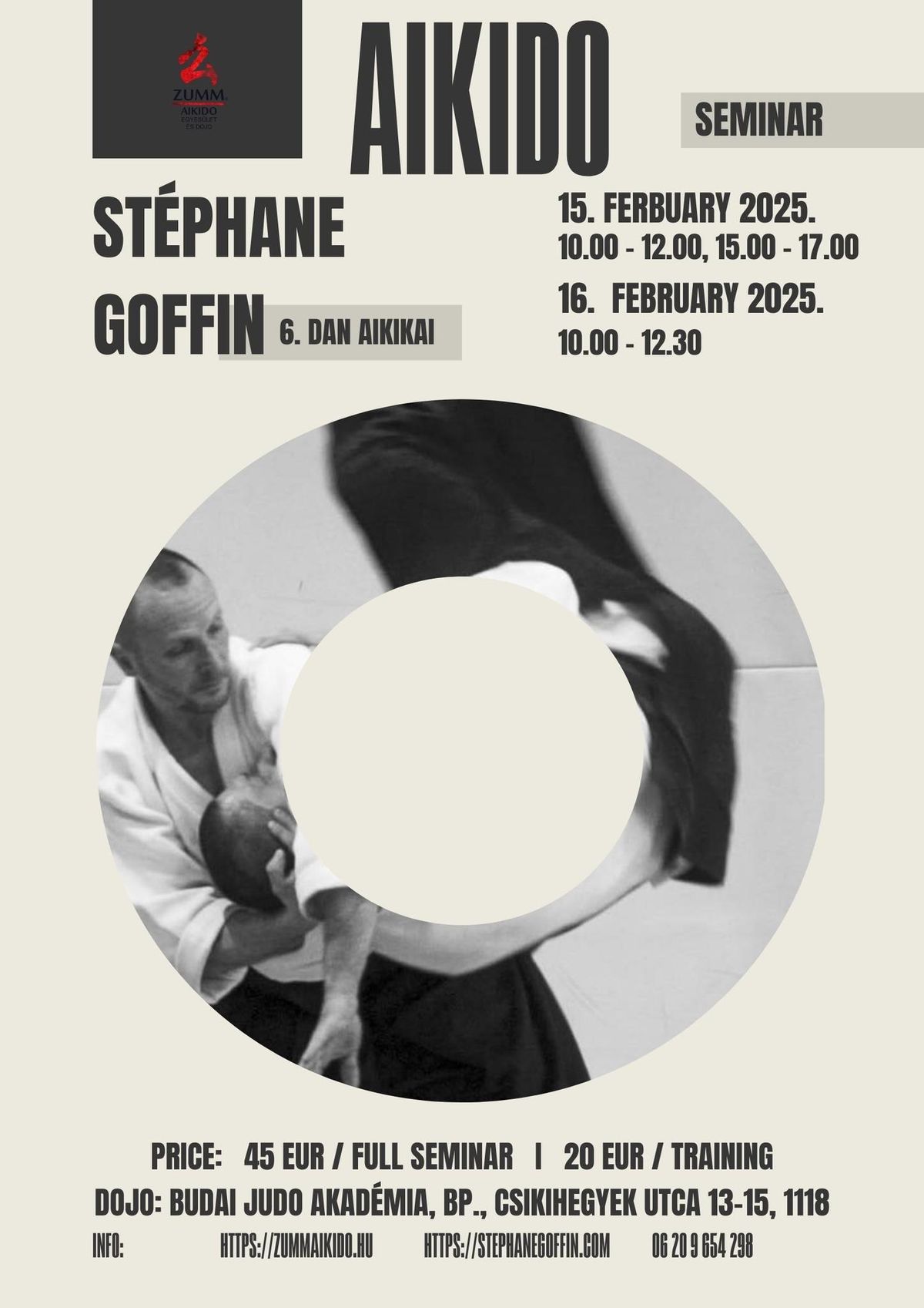 St\u00e9phane Goffin aikido seminar in Budapest