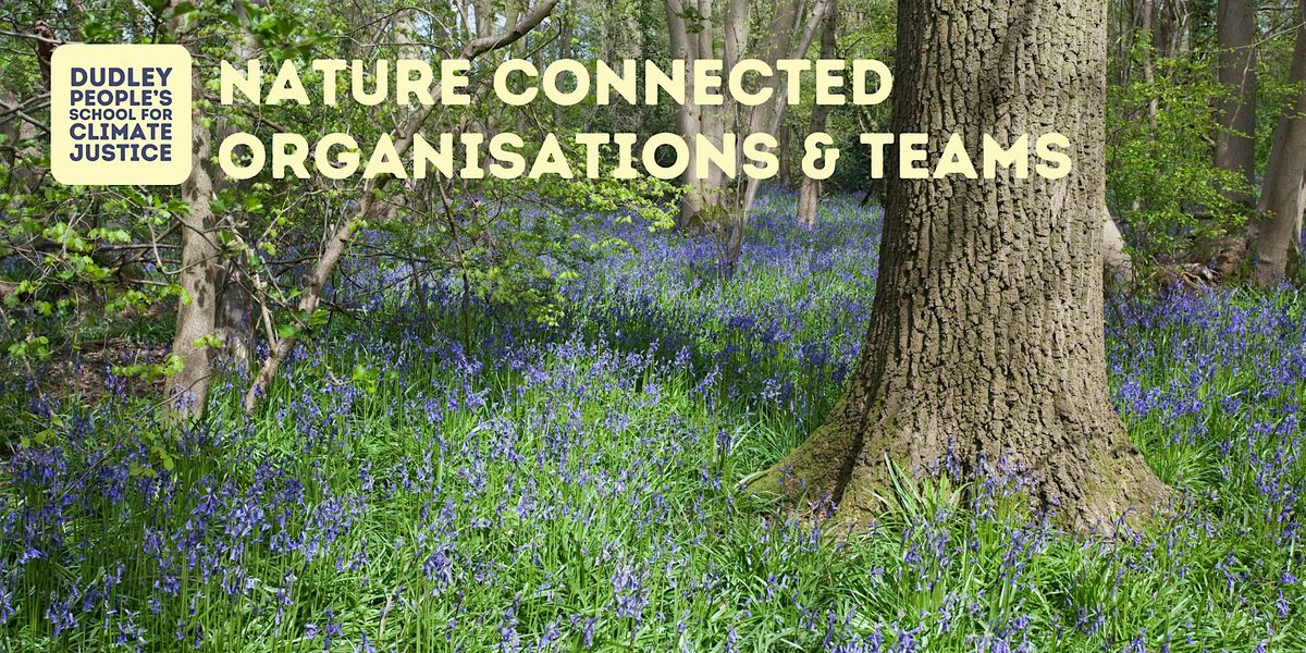 Nature Connected Organisations and Teams