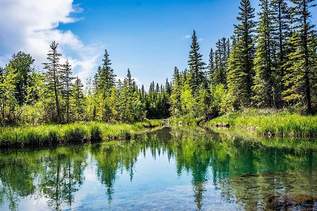 Mindful Hike In Griffith Woods