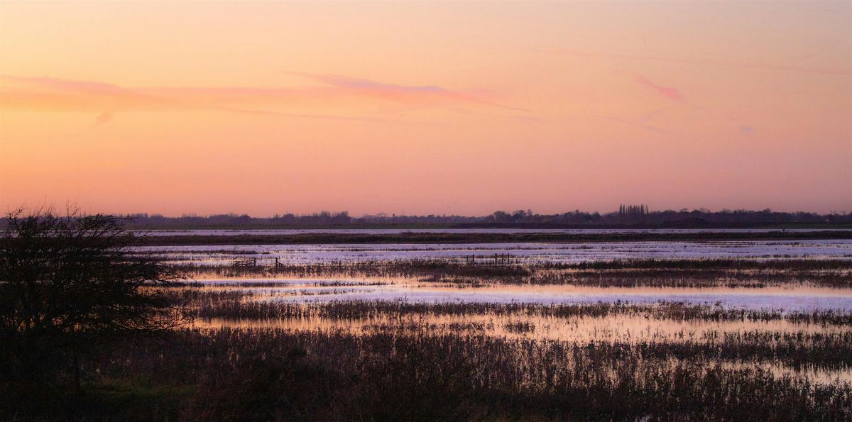 The Winter Birds of Fen Drayton Lakes