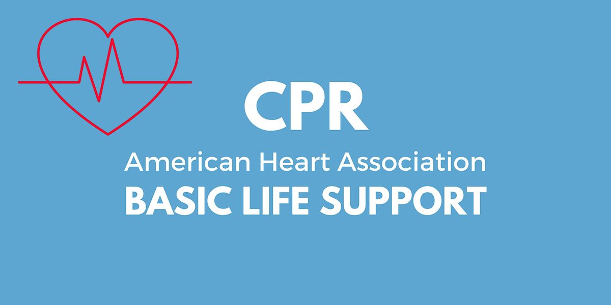 Cpr American Heart Association Basic Life Support Bear Library 7