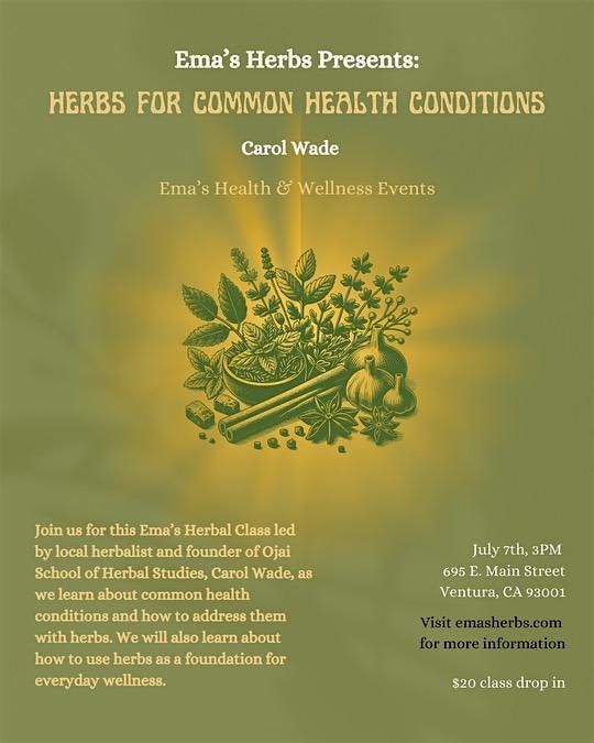 Herbs for Common Health Conditions with Carol Wade
