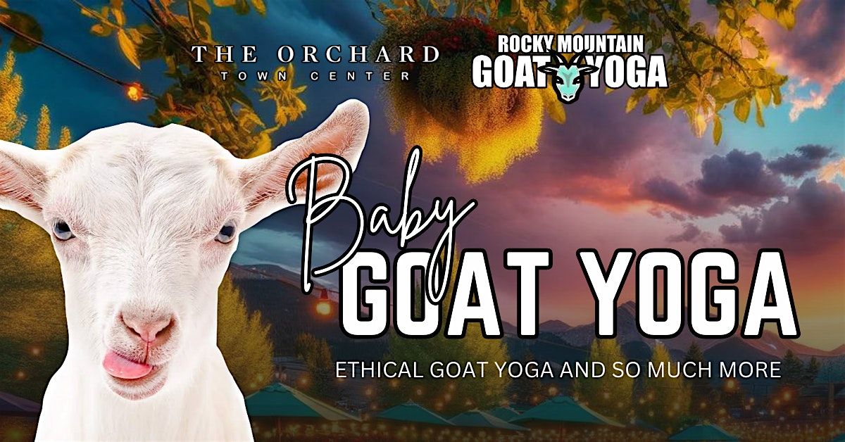 Baby Goat Yoga - November 23rd (Orchard Town Center)