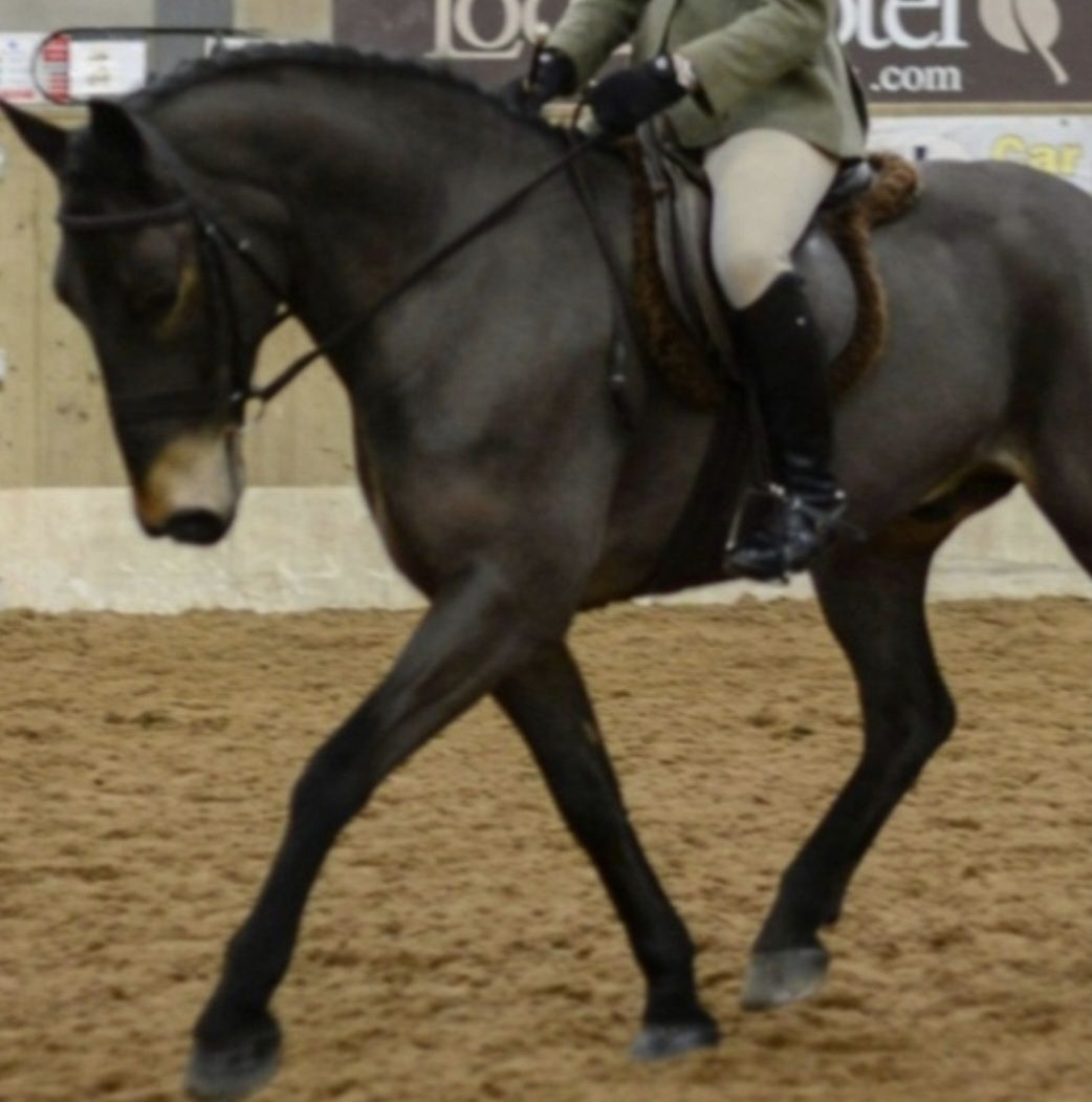 Showing clinic with TSR talent spotting