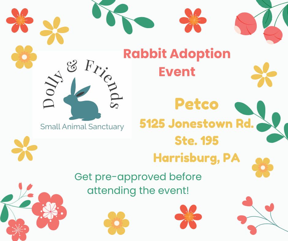 Petco Adoption Event,  Harrisburg PA!