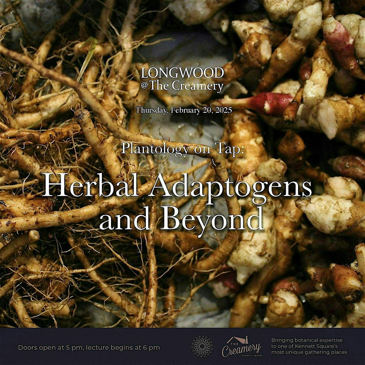 Plantology on Tap: Herbal Adaptogens and Beyond