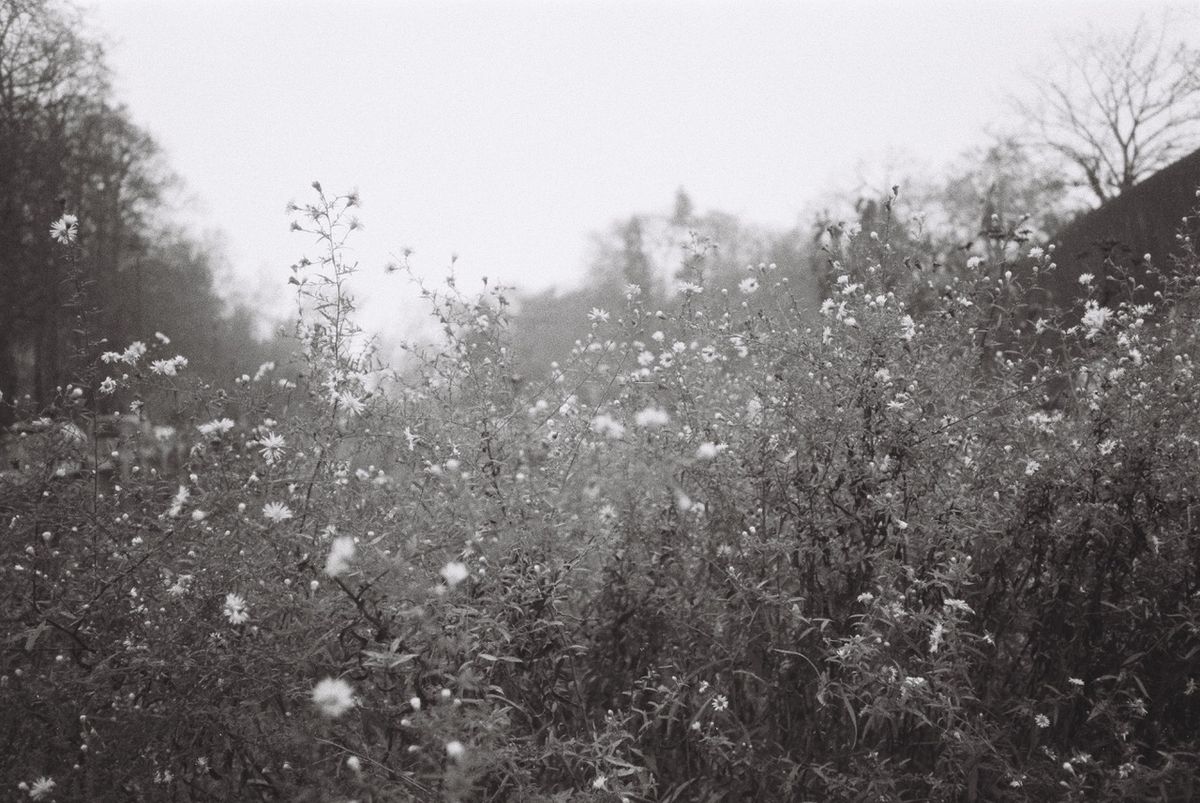 Atelier "\u00c9crire avec la photographie" avec Sandra de Vivies - L'Enfant Sauvage