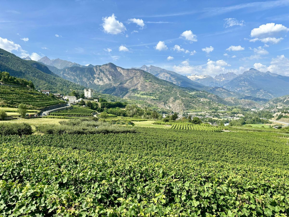 Valle d'Aosta Red Wine Tasting