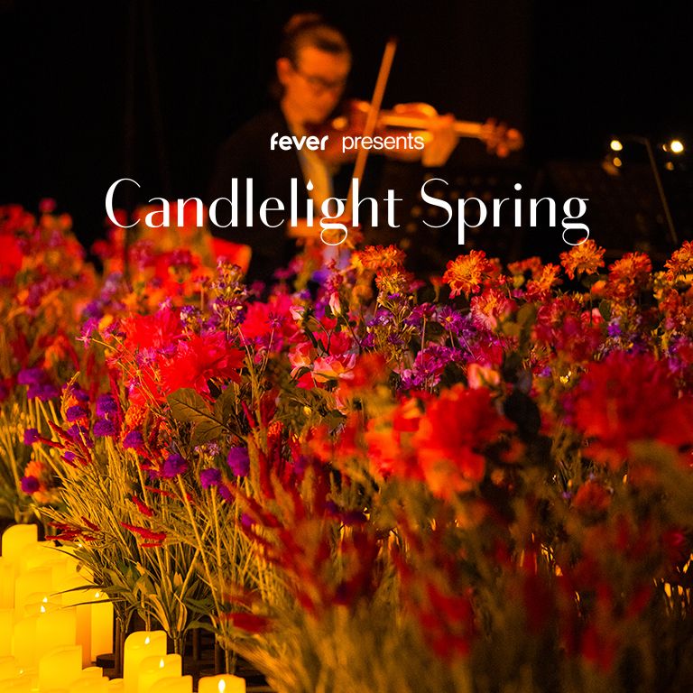 Candlelight Spring : Hommage \u00e0 Coldplay