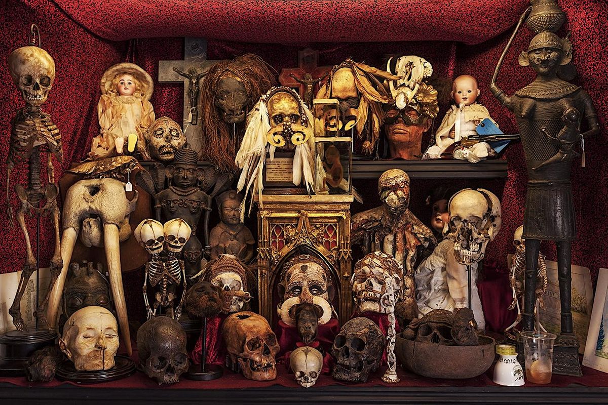 The Viktor Wynd Museum of Curiosities Guided Tour + Devil's Botany Absinthe