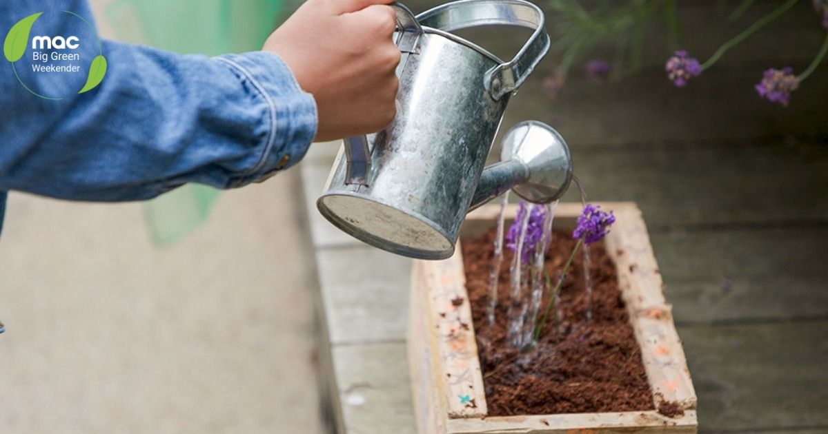 Fruit & Nut Village Seed Planting Workshop