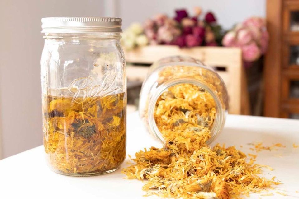 Deep Dive: Making Herbal Oils and Salves