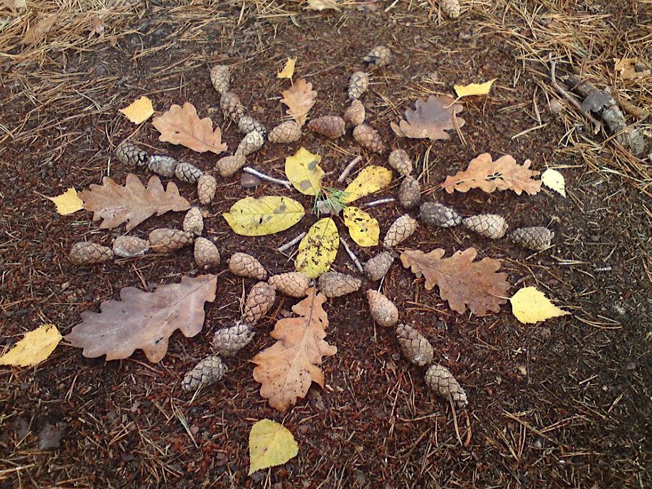 Wauhatchie School Discovery Day: Audubon Acres